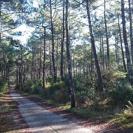 לינה וארוחת בוקר Un Matin D'ete 3*